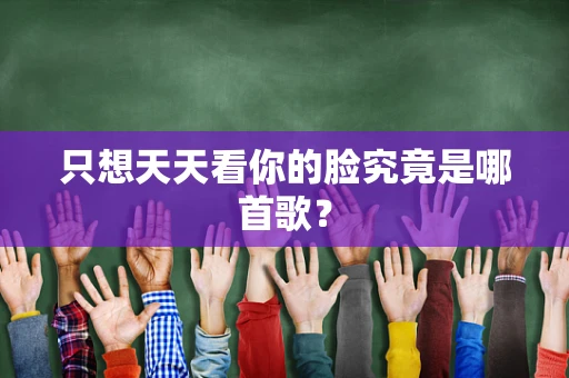 只想天天看你的脸究竟是哪首歌？