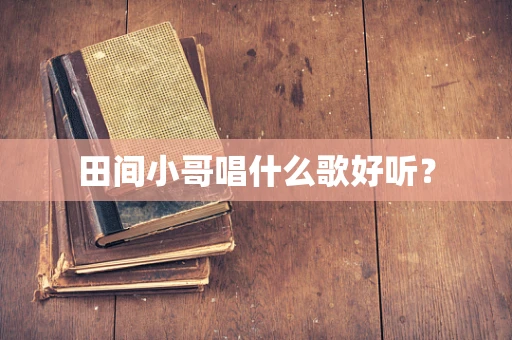 田间小哥唱什么歌好听？