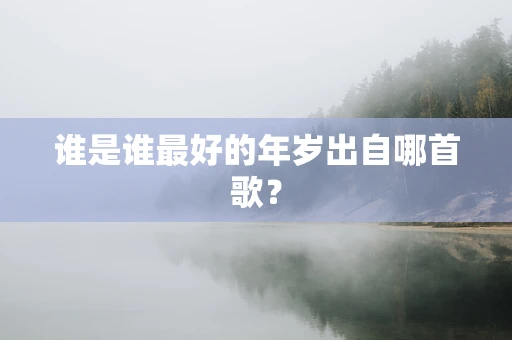 谁是谁最好的年岁出自哪首歌？