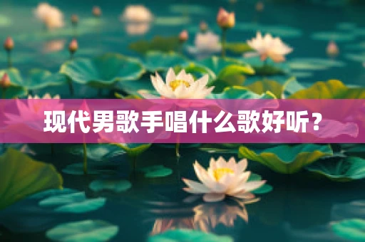 现代男歌手唱什么歌好听？