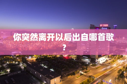 你突然离开以后出自哪首歌？