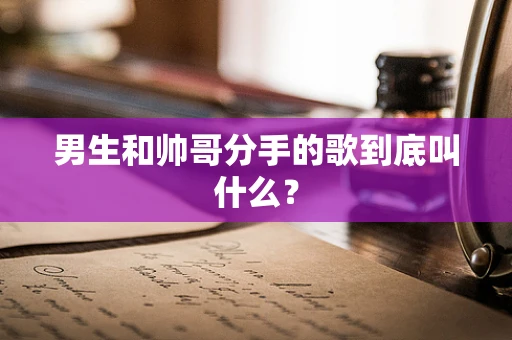 男生和帅哥分手的歌到底叫什么？