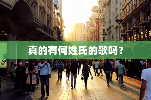 真的有何姓氏的歌吗？
