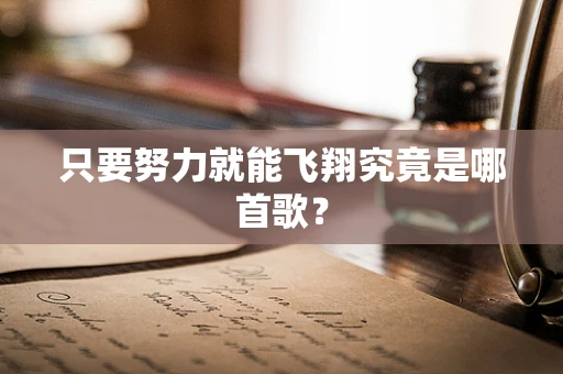 只要努力就能飞翔究竟是哪首歌？