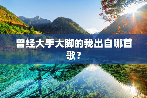 曾经大手大脚的我出自哪首歌？