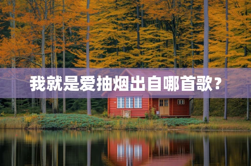 我就是爱抽烟出自哪首歌？