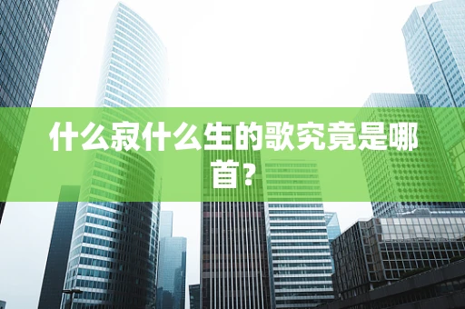 什么寂什么生的歌究竟是哪首？
