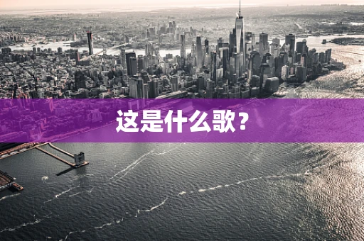 这是什么歌？