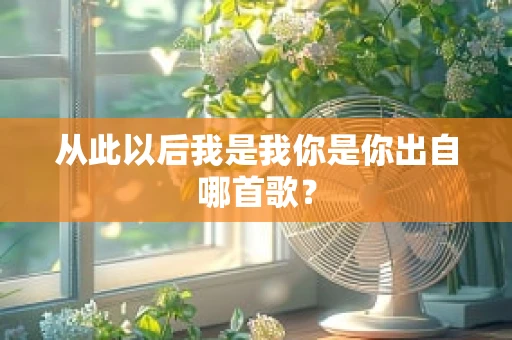 从此以后我是我你是你出自哪首歌？