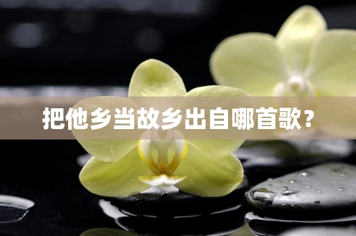把他乡当故乡出自哪首歌？