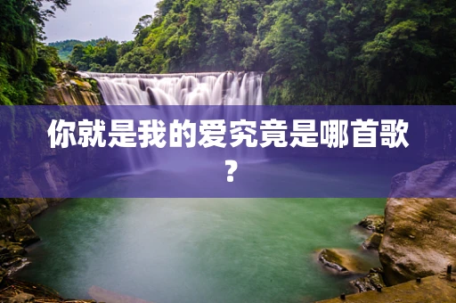 你就是我的爱究竟是哪首歌？