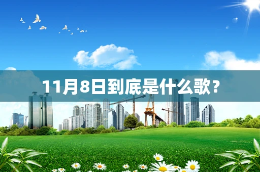 11月8日到底是什么歌？