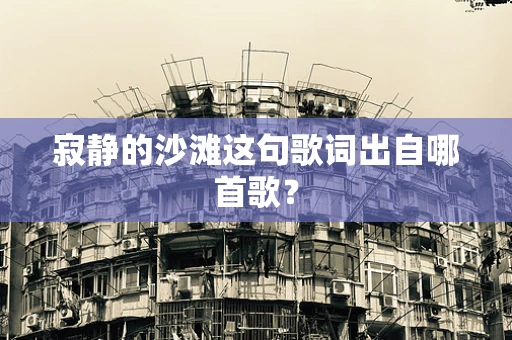 寂静的沙滩这句歌词出自哪首歌？