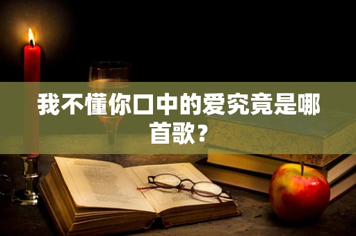 我不懂你口中的爱究竟是哪首歌？