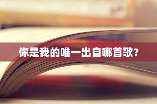 你是我的唯一出自哪首歌？