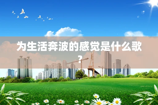 为生活奔波的感觉是什么歌？