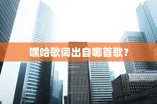 嘿哈歌词出自哪首歌？