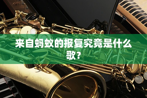 来自蚂蚁的报复究竟是什么歌？