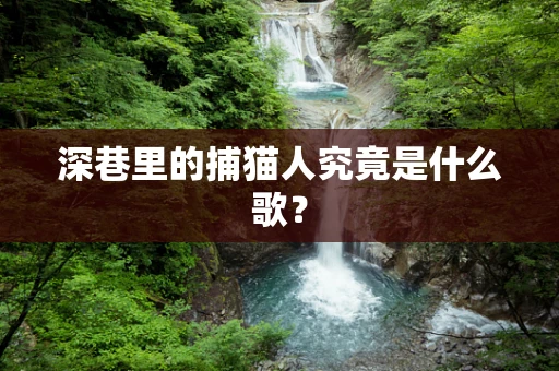 深巷里的捕猫人究竟是什么歌？