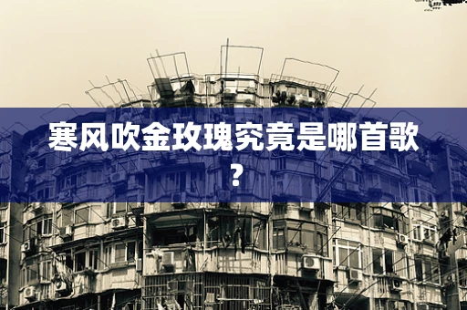 寒风吹金玫瑰究竟是哪首歌？