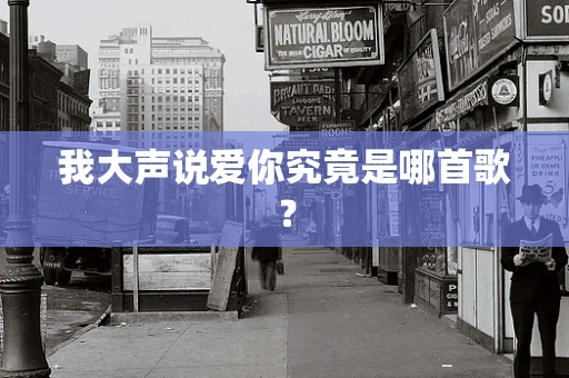 我大声说爱你究竟是哪首歌？