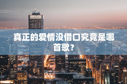 真正的爱情没借口究竟是哪首歌？