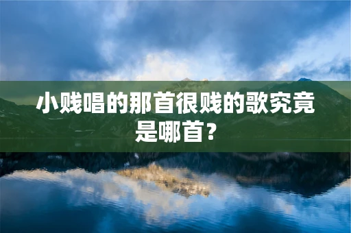 小贱唱的那首很贱的歌究竟是哪首？