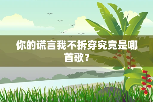 你的谎言我不拆穿究竟是哪首歌？