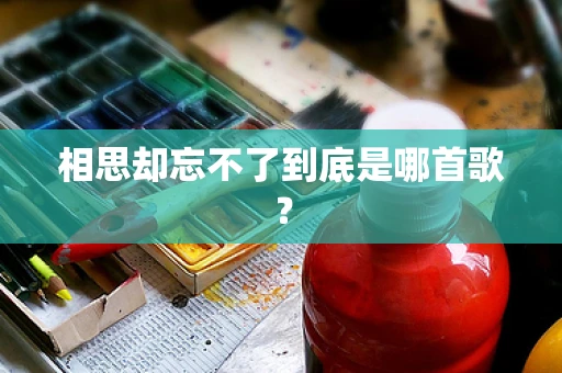 相思却忘不了到底是哪首歌？