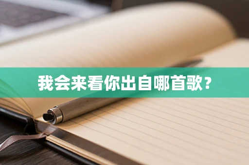 我会来看你出自哪首歌？