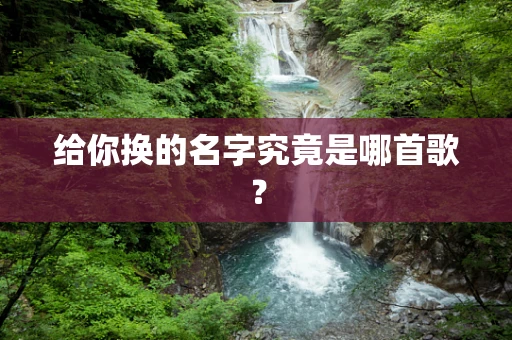 给你换的名字究竟是哪首歌？