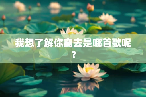 我想了解你离去是哪首歌呢？