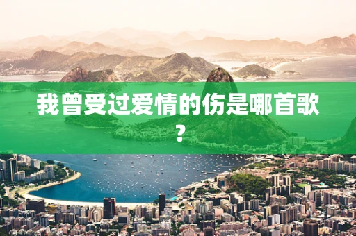 我曾受过爱情的伤是哪首歌？