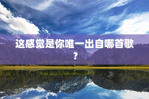 这感觉是你唯一出自哪首歌？