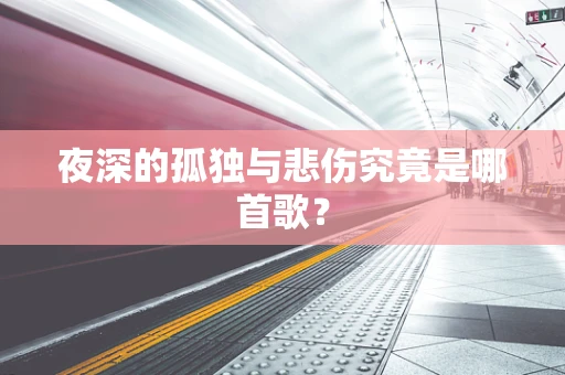 夜深的孤独与悲伤究竟是哪首歌？