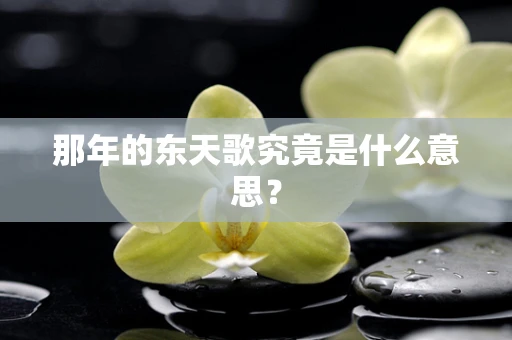 那年的东天歌究竟是什么意思？