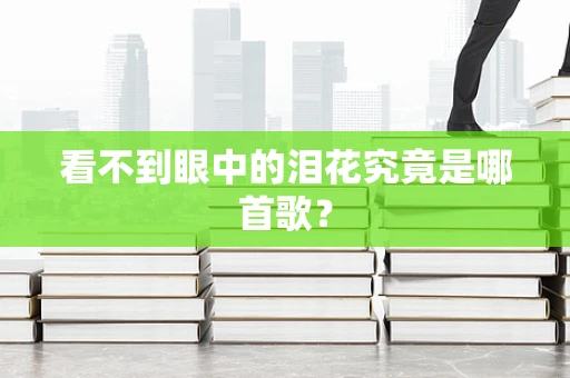 看不到眼中的泪花究竟是哪首歌？