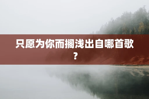 只愿为你而搁浅出自哪首歌？