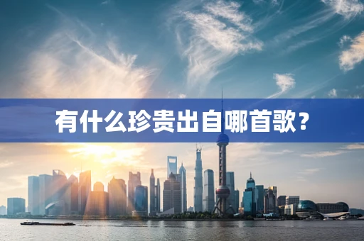 有什么珍贵出自哪首歌？