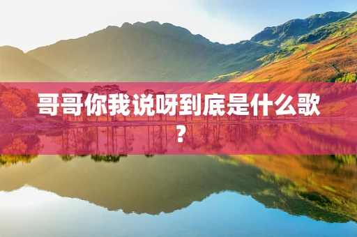 哥哥你我说呀到底是什么歌？