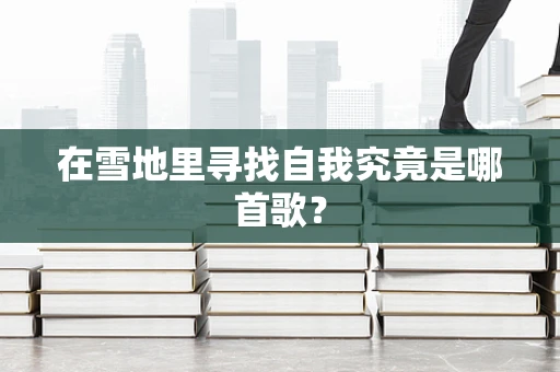 在雪地里寻找自我究竟是哪首歌？