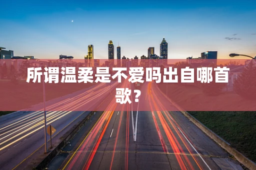 所谓温柔是不爱吗出自哪首歌？