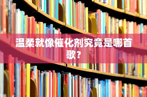 温柔就像催化剂究竟是哪首歌？