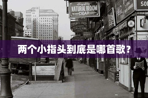 两个小指头到底是哪首歌？