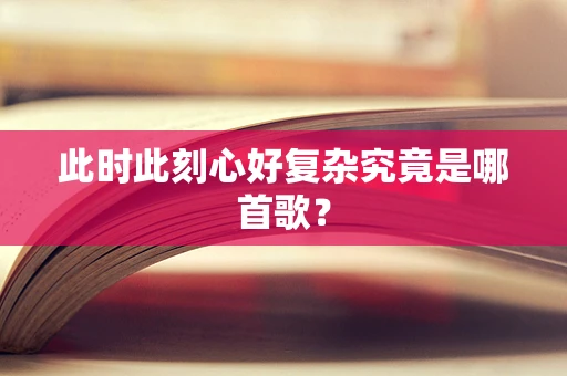 此时此刻心好复杂究竟是哪首歌？