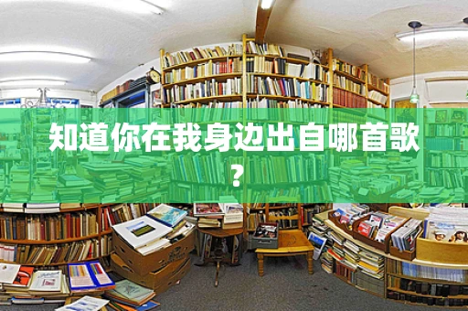 知道你在我身边出自哪首歌？
