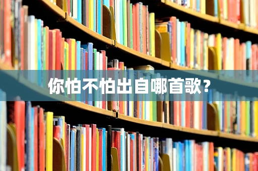 你怕不怕出自哪首歌？
