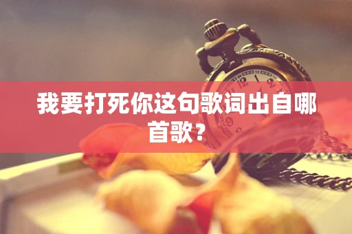 我要打死你这句歌词出自哪首歌？