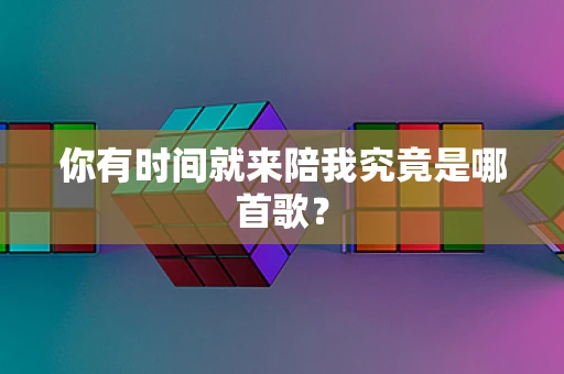 你有时间就来陪我究竟是哪首歌？