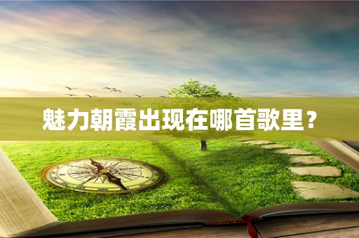 魅力朝霞出现在哪首歌里？